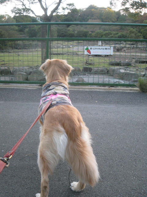 ファイル 460-2.jpg