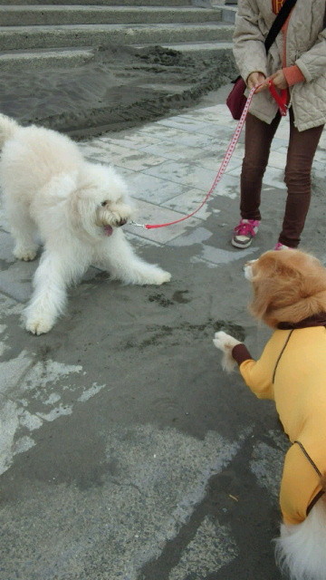 ファイル 4604-1.jpg