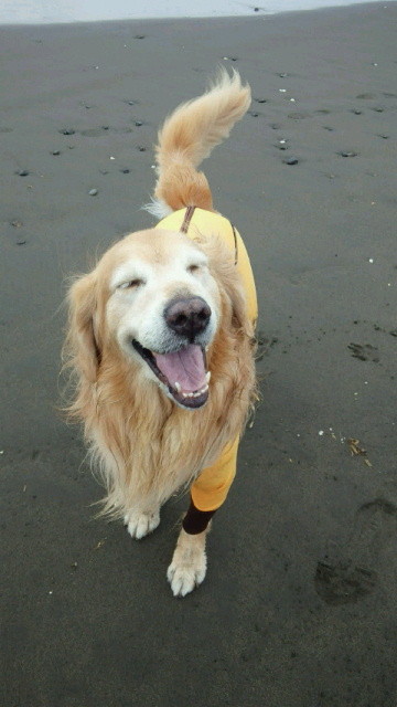 ファイル 4604-5.jpg