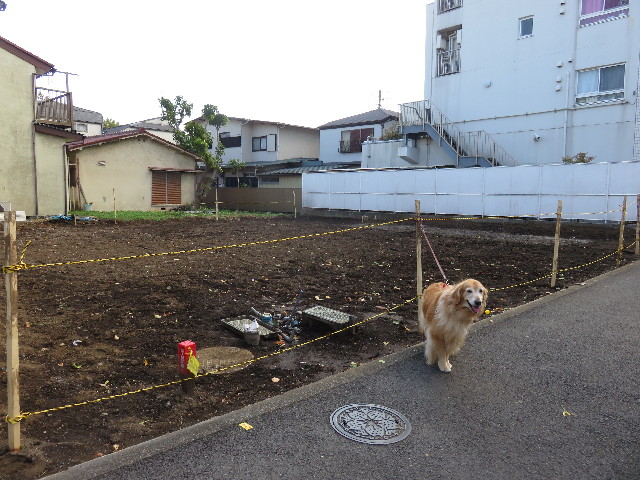 ファイル 4605-4.jpg