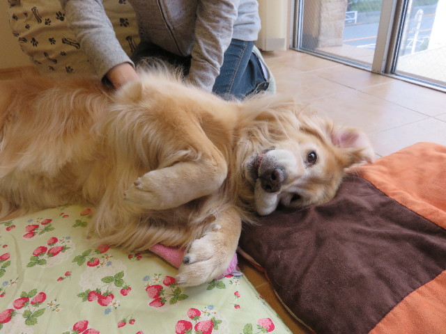 ファイル 4605-5.jpg