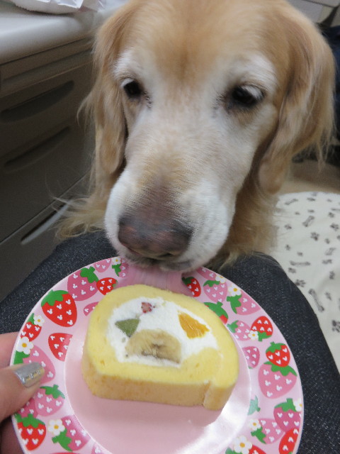 ファイル 4607-4.jpg