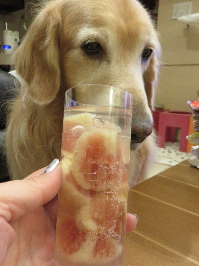 ファイル 4607-5.jpg