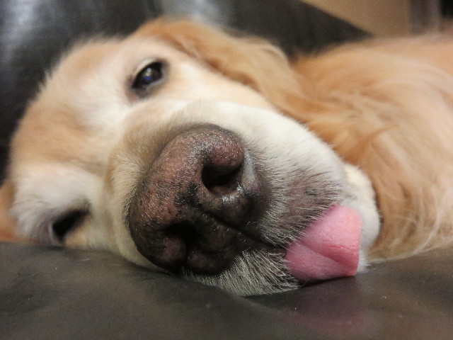 ファイル 4608-3.jpg