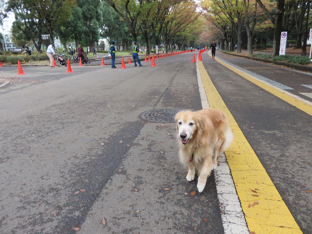 ファイル 4609-1.jpg