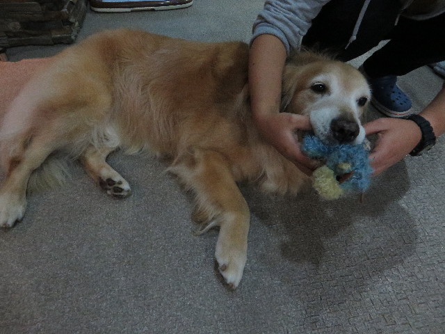 ファイル 4611-1.jpg