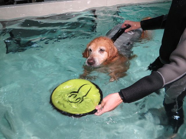 ファイル 4611-2.jpg