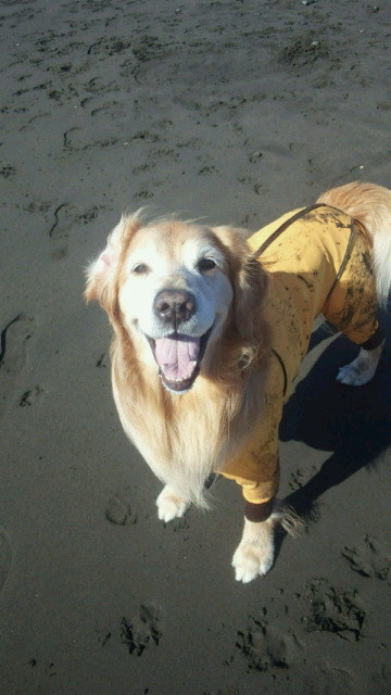 ファイル 4613-1.jpg