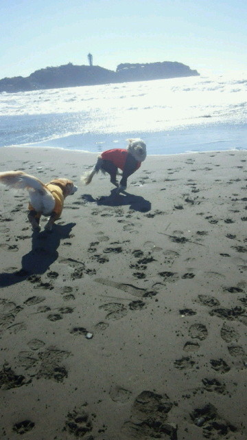 ファイル 4613-4.jpg