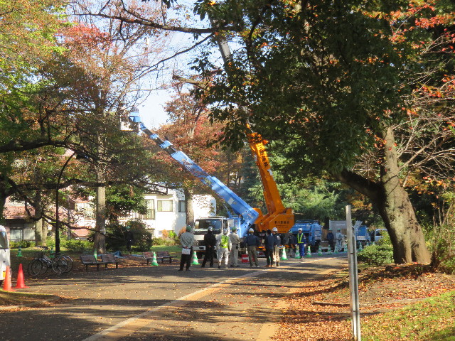 ファイル 4614-3.jpg