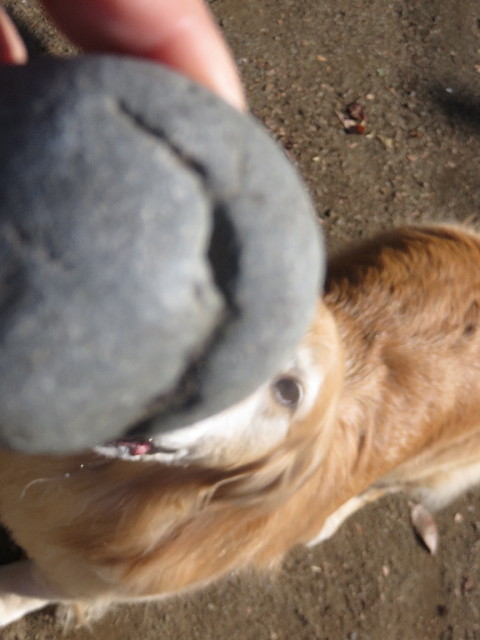 ファイル 4616-3.jpg