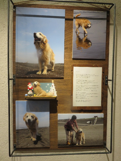 ファイル 4617-3.jpg