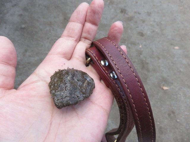 ファイル 4622-2.jpg