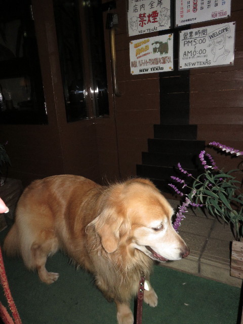 ファイル 4622-3.jpg