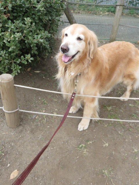 ファイル 4624-1.jpg