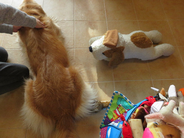 ファイル 4624-5.jpg