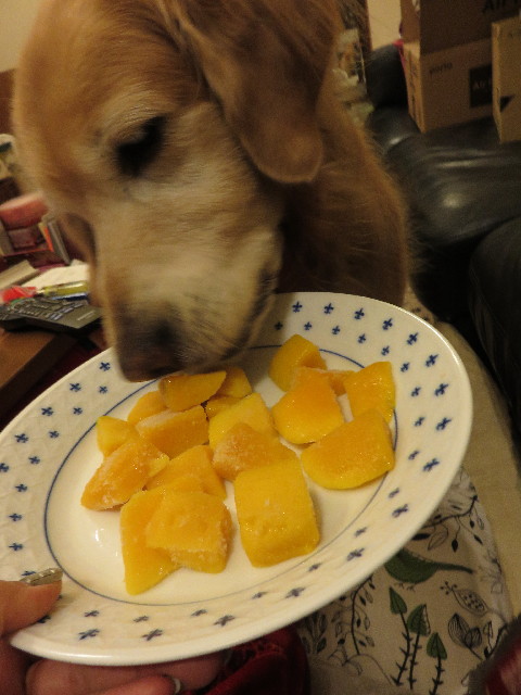 ファイル 4625-2.jpg