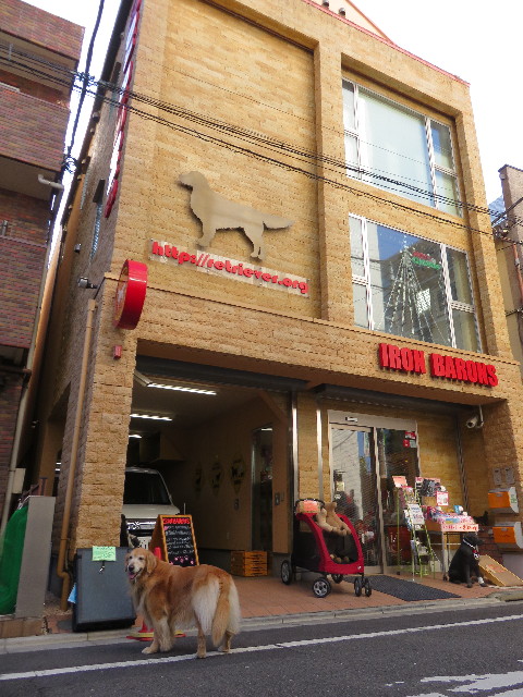 ファイル 4625-3.jpg