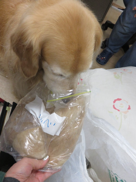 ファイル 4625-5.jpg