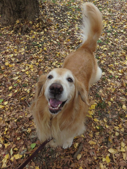 ファイル 4628-3.jpg