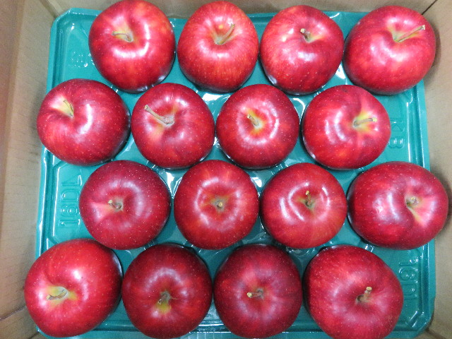 ファイル 4630-4.jpg