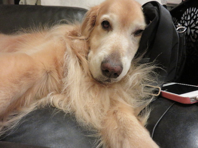 ファイル 4631-1.jpg