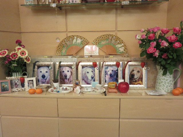 ファイル 4631-3.jpg