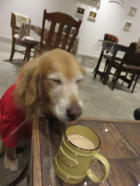 ファイル 4631-4.jpg