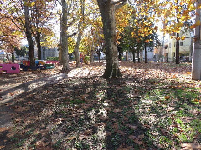 ファイル 4632-2.jpg