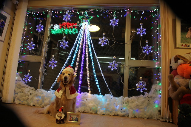 ファイル 4635-3.jpg