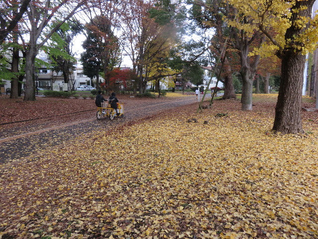 ファイル 4640-5.jpg