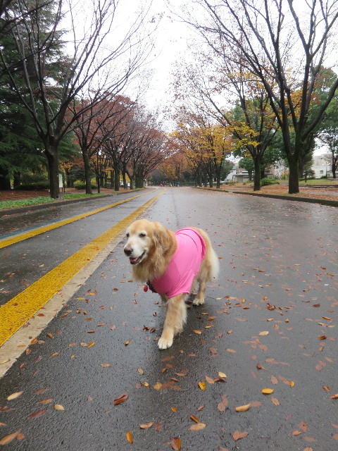 ファイル 4641-4.jpg