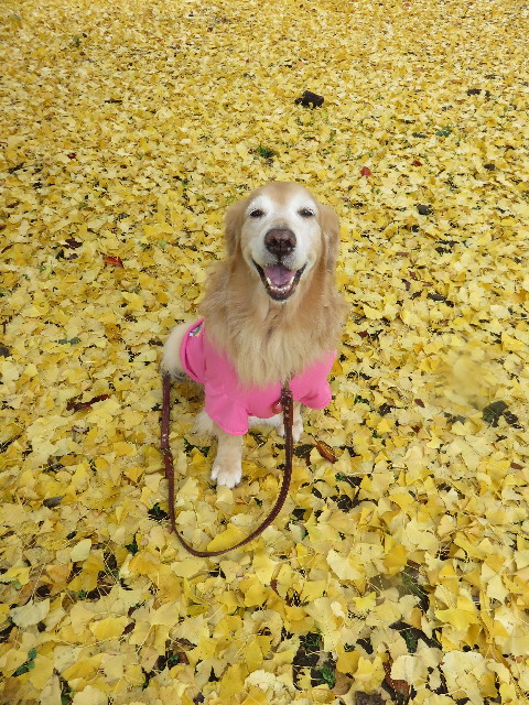 ファイル 4641-5.jpg