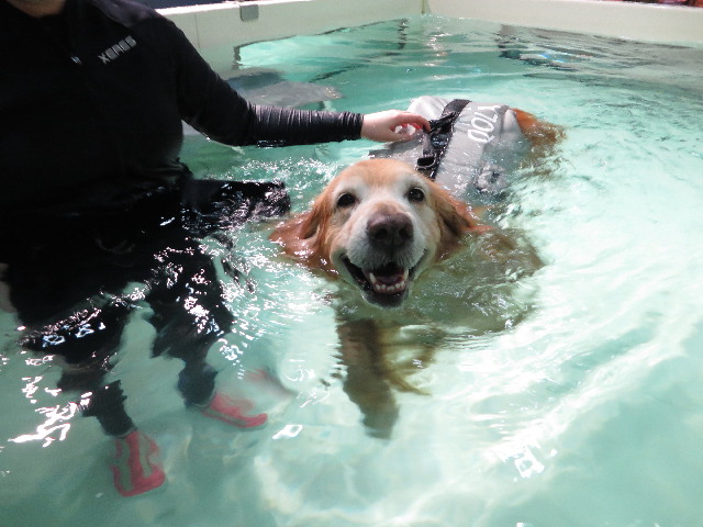 ファイル 4642-4.jpg