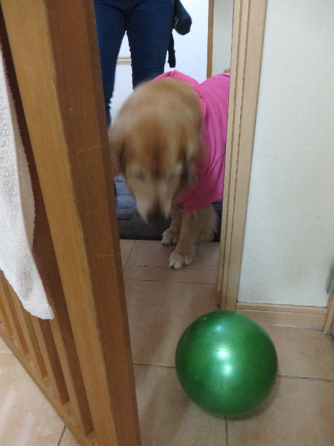 ファイル 4643-2.jpg