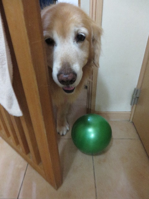 ファイル 4643-3.jpg