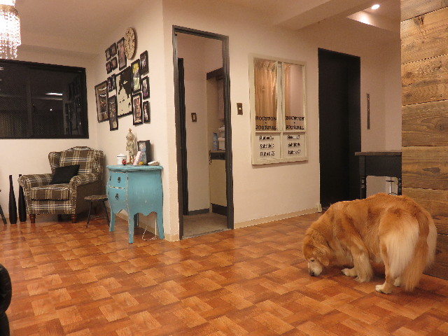 ファイル 4644-2.jpg