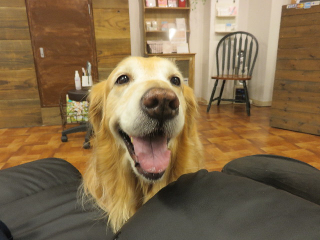 ファイル 4644-3.jpg