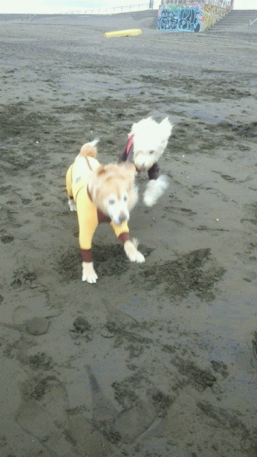 ファイル 4645-4.jpg