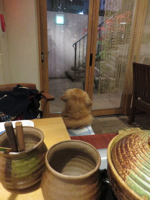 ファイル 4651-2.jpg