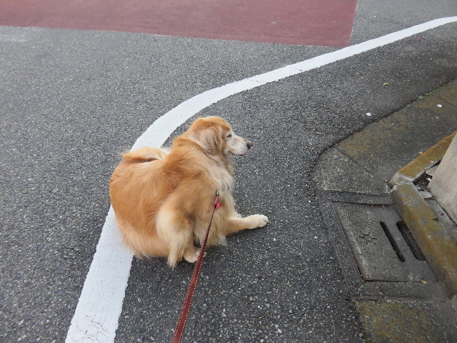 ファイル 4652-4.jpg