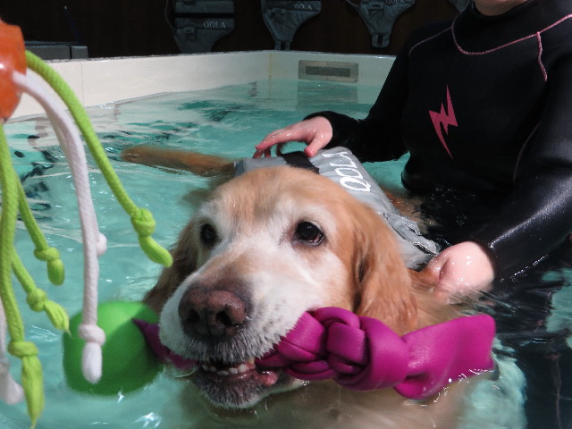 ファイル 4654-1.jpg