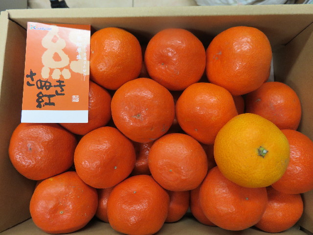 ファイル 4659-4.jpg