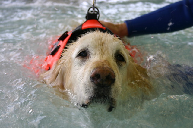 ファイル 466-4.jpg