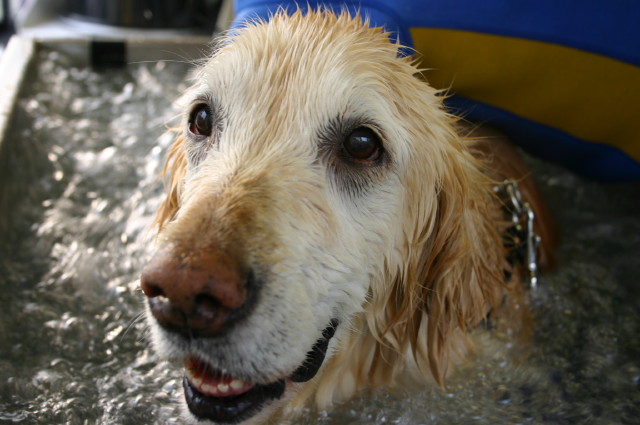 ファイル 466-5.jpg