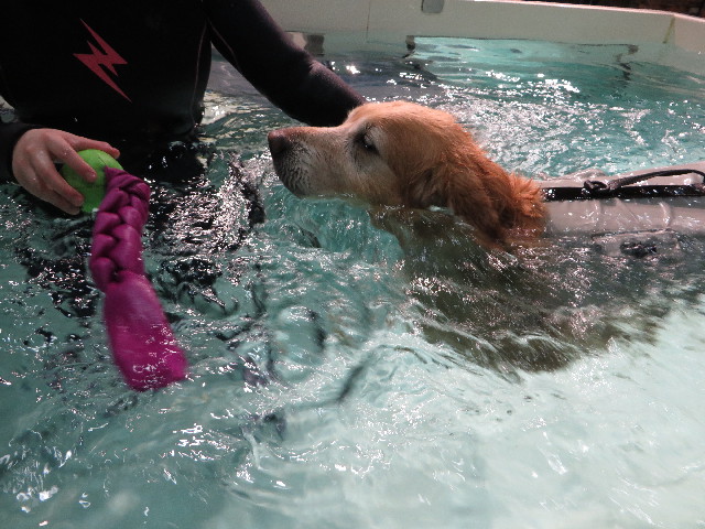 ファイル 4660-3.jpg