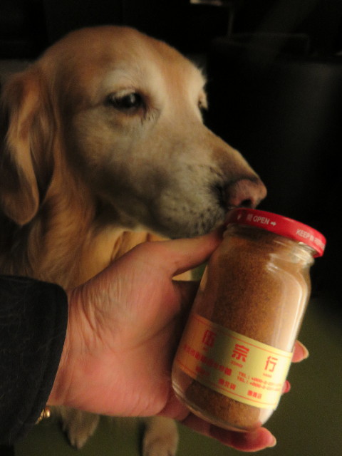 ファイル 4661-4.jpg