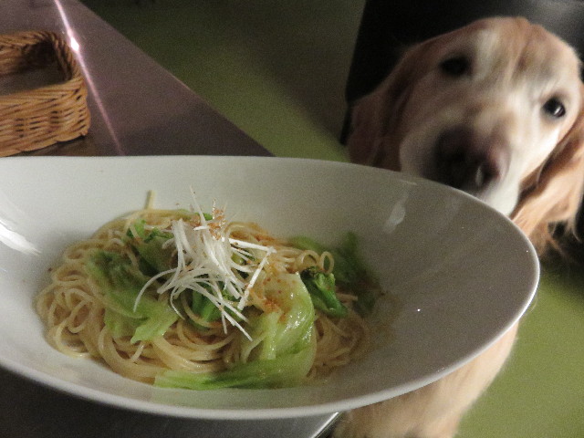 ファイル 4661-5.jpg