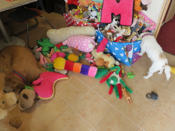 ファイル 4662-1.jpg