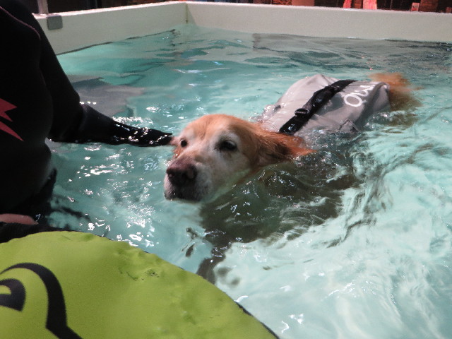 ファイル 4663-4.jpg